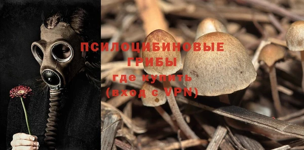спиды Алексин