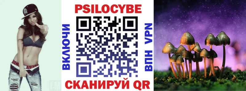 Псилоцибиновые грибы Cubensis  Гаврилов Посад 